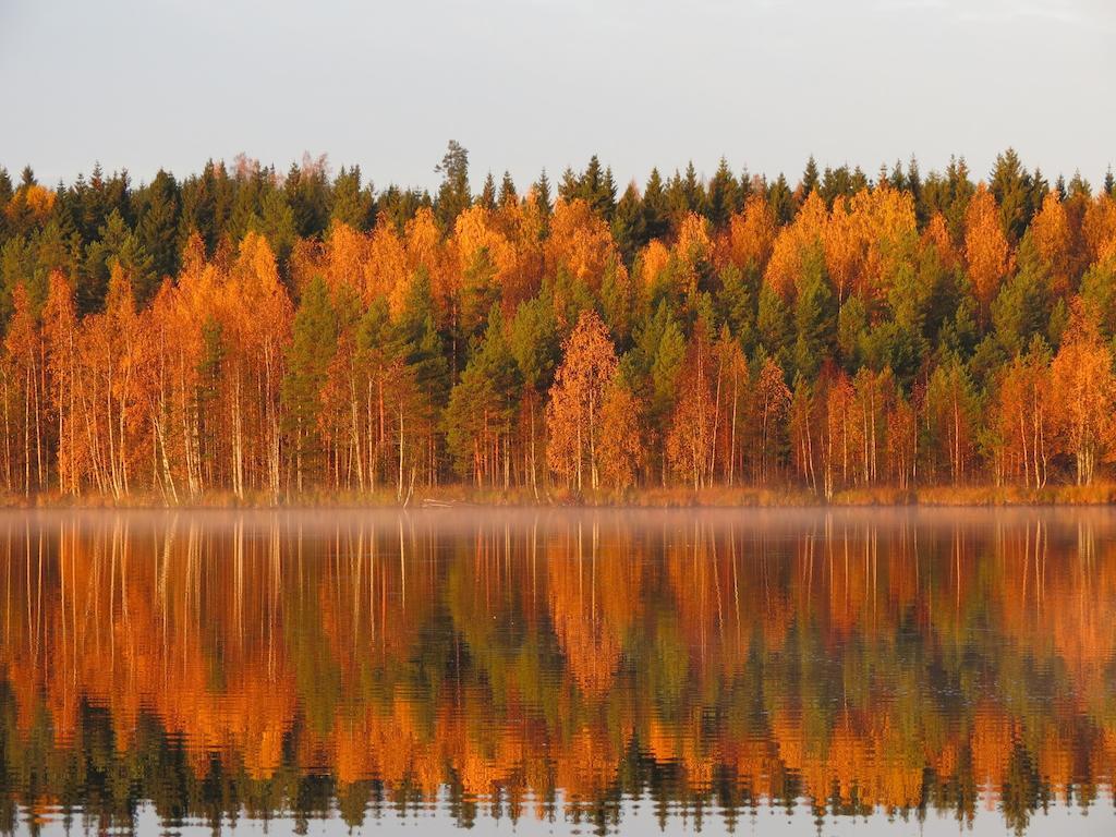 Отель Honkiniemi Эхтяри Экстерьер фото